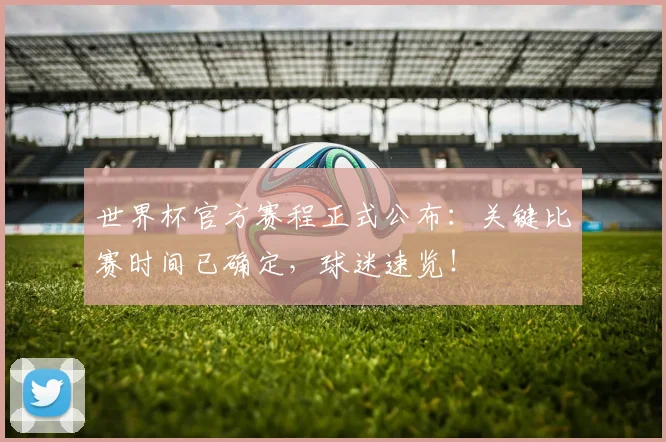 世界杯官方赛程正式公布:关键比赛时间已确定,球迷速览!